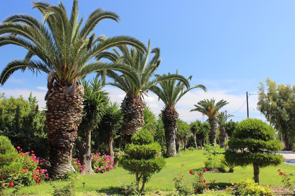 Corellia Asterias Beach Hotel Theológosz Kültér fotó